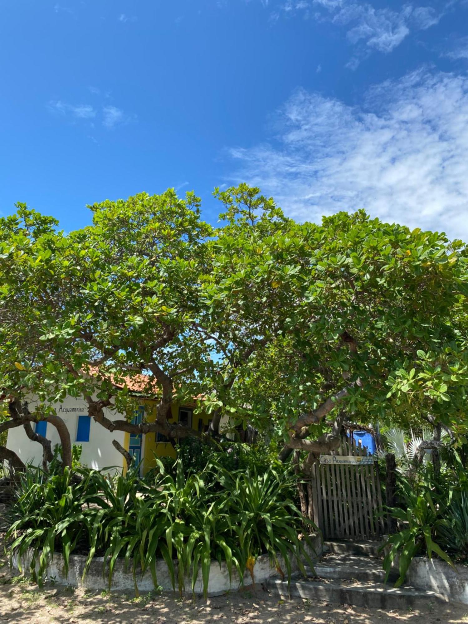 Casa Acquamarina *