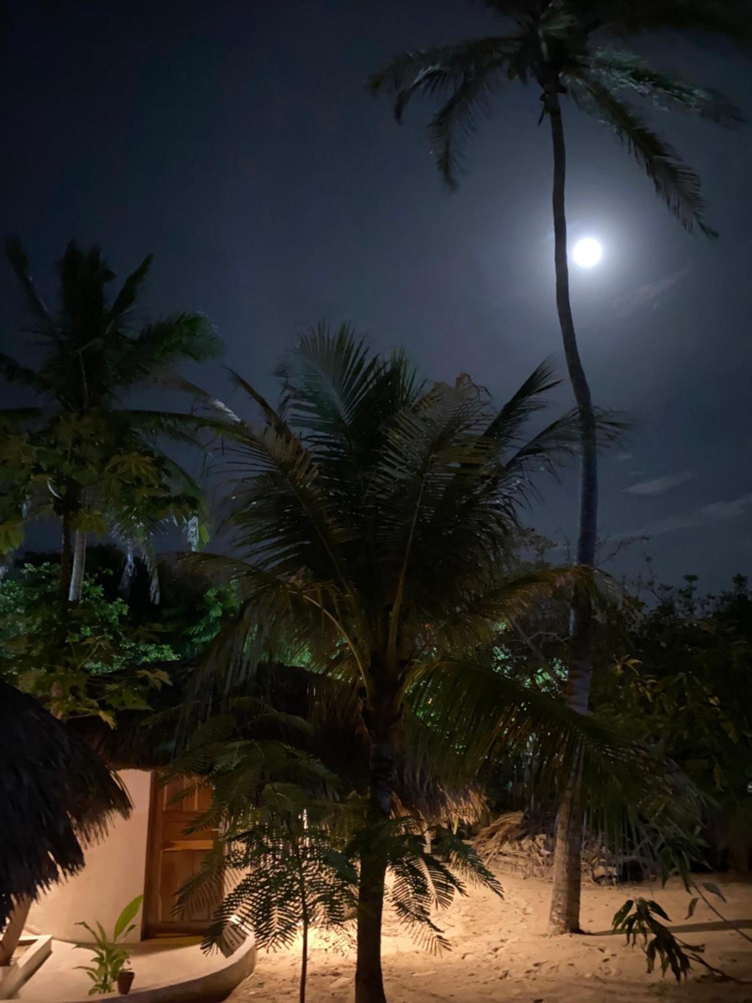 Casa Acquamarina Hotel *