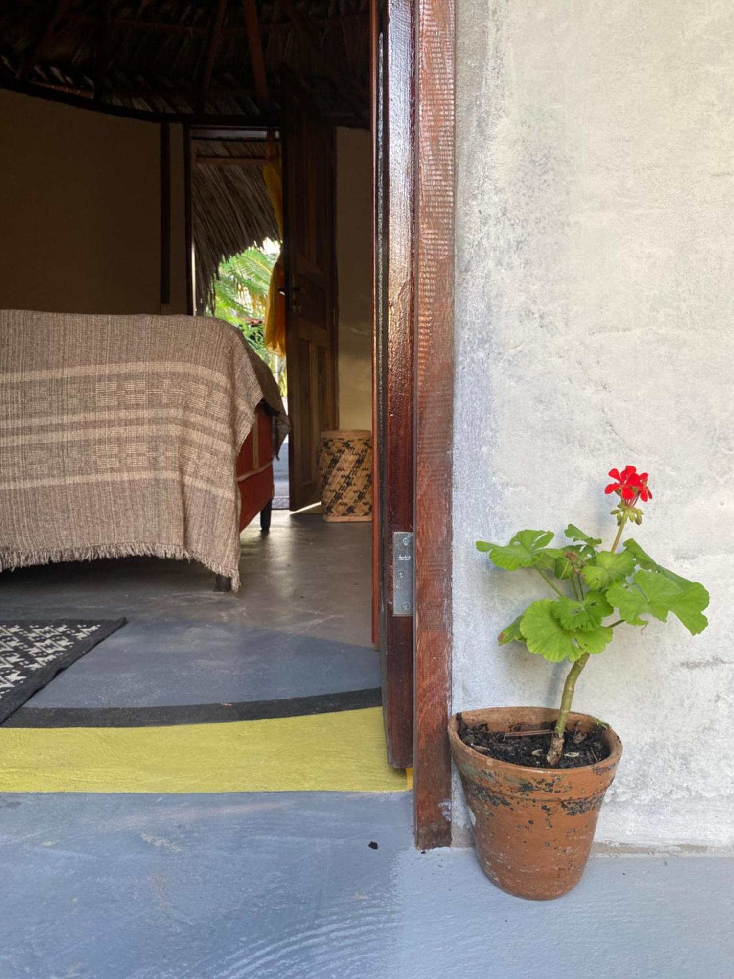 Hotel Casa Acquamarina
