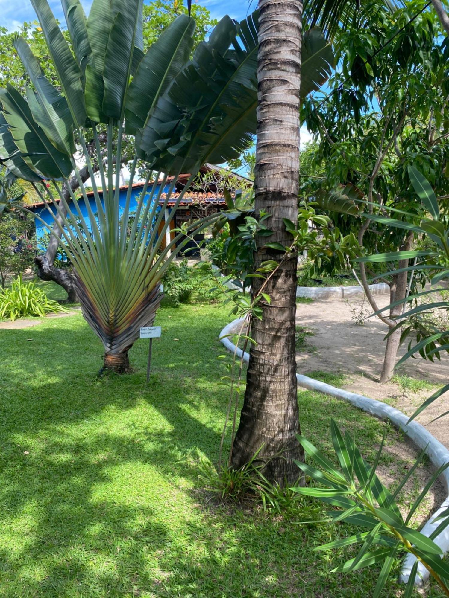 Casa Acquamarina Atins